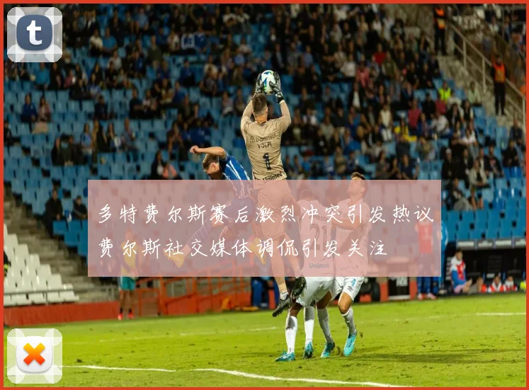 多特费尔斯赛后激烈冲突引发热议费尔斯社交媒体调侃引发关注